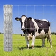 thumbnail image 6 of Memoryfield 4.9ft x 164ft Galvanized Cattle Fence, Heavy Duty Livestock Wire Fence for Cattle, Sheep, Pig & Deer, Rust-Resistant Farm & Garden Fence, 6 of 8