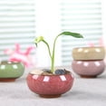 thumbnail image 3 of Cherryhome Mini Succulent Planter Pot, 2.5 Inch Ceramic Ice Crack Cactus Seed Starter Pots Micro Landscape Planter with Drainage Hole for Moss Plant, Baby Succulent, Herb, 3 of 3