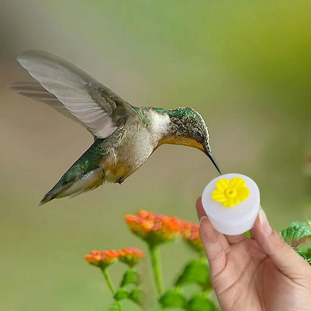 GiliGiliso Clearance Manual Hummingbird Feeder, New In 2023, 1