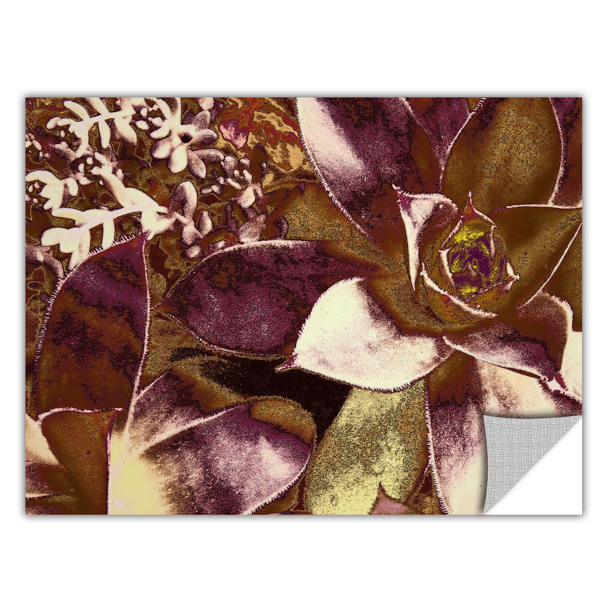Dean Uhlinger "Succulent Study" Removable Wall Art Graphic