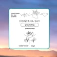 thumbnail image 5 of Caja de regalo Pacifica Iconic Scents: Montana Sky, Beach Day y Passionfruit: colección de fragancias inspiradas en la naturaleza, veganas y sin crueldad animal., 5 of 5