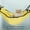 Yellow (random), variant on Dabei Comfy Cat Hammock - Hanging Bed Swing for Cats, Kittens - Soft and Durable Pet Bed House - Perfect Toy and Resting Spot for Your Feline Friend