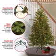 thumbnail image 3 of National Tree Company 5.5 Foot Pre Lit North Valley Spruce Christmas Tree, 3 of 4