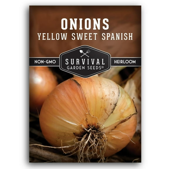 Yellow Sweet Spanish Onion Seeds for Planting - 1 Pack with Instructions to Plant and Grow Long Day Onions in Your Home Vegetable Garden - Non-GMO Heirloom Variety