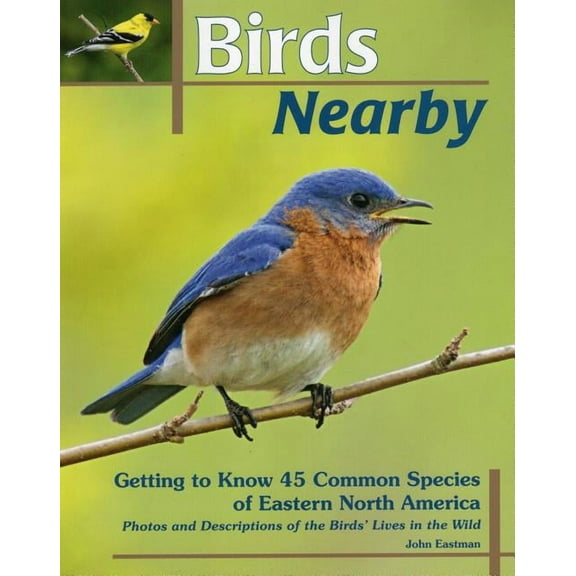 Birds Nearby : Getting to Know 45 Common Species of Eastern North America (Paperback)