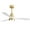 Gold with White Blades, variant on Sofucor 48'' Ceiling Fans with Lights and Remote for Bedroom Gold