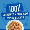 thumbnail image 4 of Purina Friskies Ocean of Delight Gravy Variety Pack, Wet Cat Food, 5.5 oz Cans, 48 Count, 4 of 9