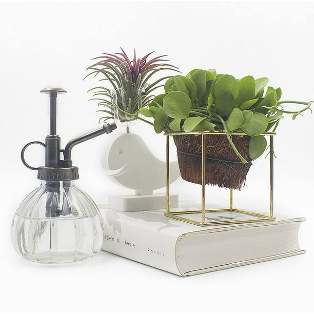 Brumisateur pour Plantes, Bouteille Vaporisateur d'Eau Dcorative en Verre  Style Vintage avec Pompe Suprieure Petit Arrosoir Brumisateur pour Plantes  Bouteille en Verre Dcorative Style Vintage - Walmart.ca