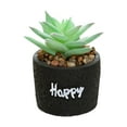 thumbnail image 5 of Aesthetic Simulation Bonsai UV-resistant Vivid Table Centerpiece Fake Succulent Plant Home Decor, 5 of 8