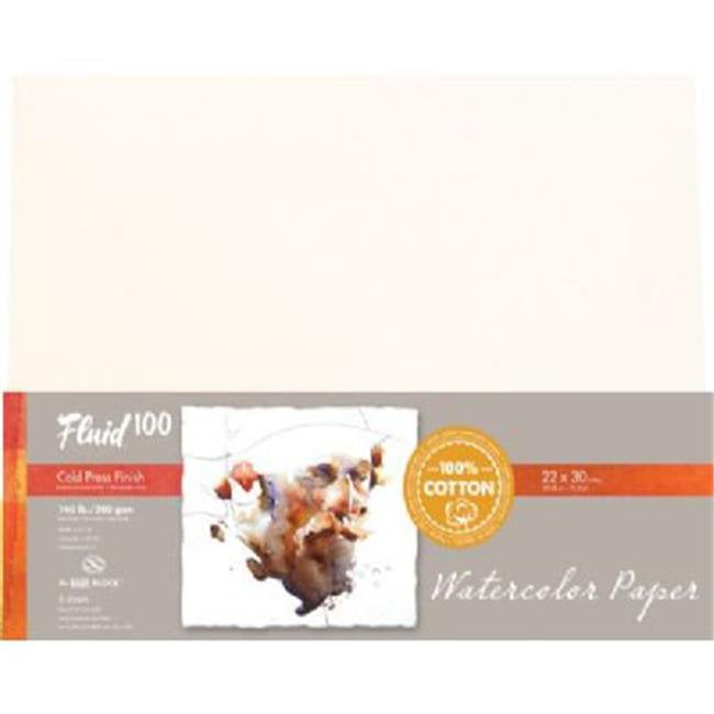 Strathmore 400 Artist Watercolor Paper 140 LB 22 X 30 Inches 10 Sheets for sale online 