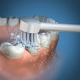 thumbnail image 2 of Embout de Brosse à Dents-Hydropulseur Waterpik®, 2 of 3