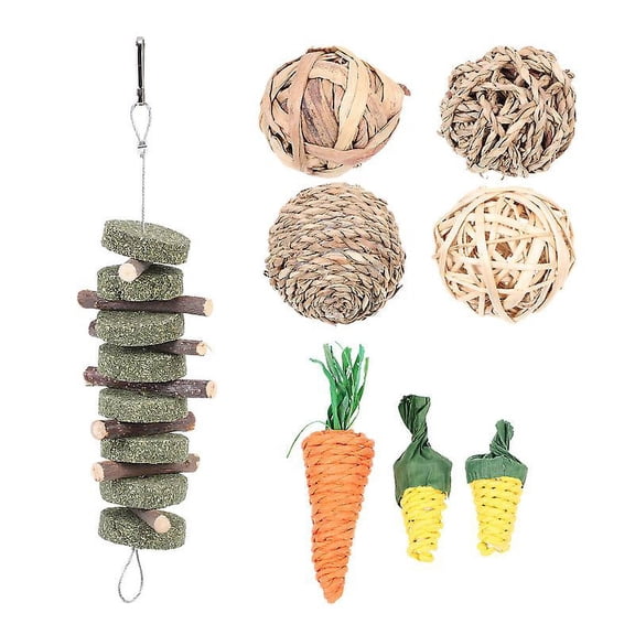 1set Rabbit Molar Toys