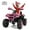 Rose, variant on Kids ATV 4 Wheeler, 24V Ride on Toys with 2 Seater, Electric Car w/ Bluetooth/MP3 ,and Flag,Rose