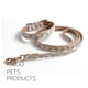 thumbnail image 5 of Collar de perro de cuero tapizado de lujo clásico básico - Cerradura de latón resistente a la oxidación para mascotas grandes y medianas Adepaton Correas y Collares para Perros, 5 of 5