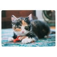 thumbnail image 1 of Pvc Napperon (Chaton Playing Toy) - Set of 12, 1 of 1