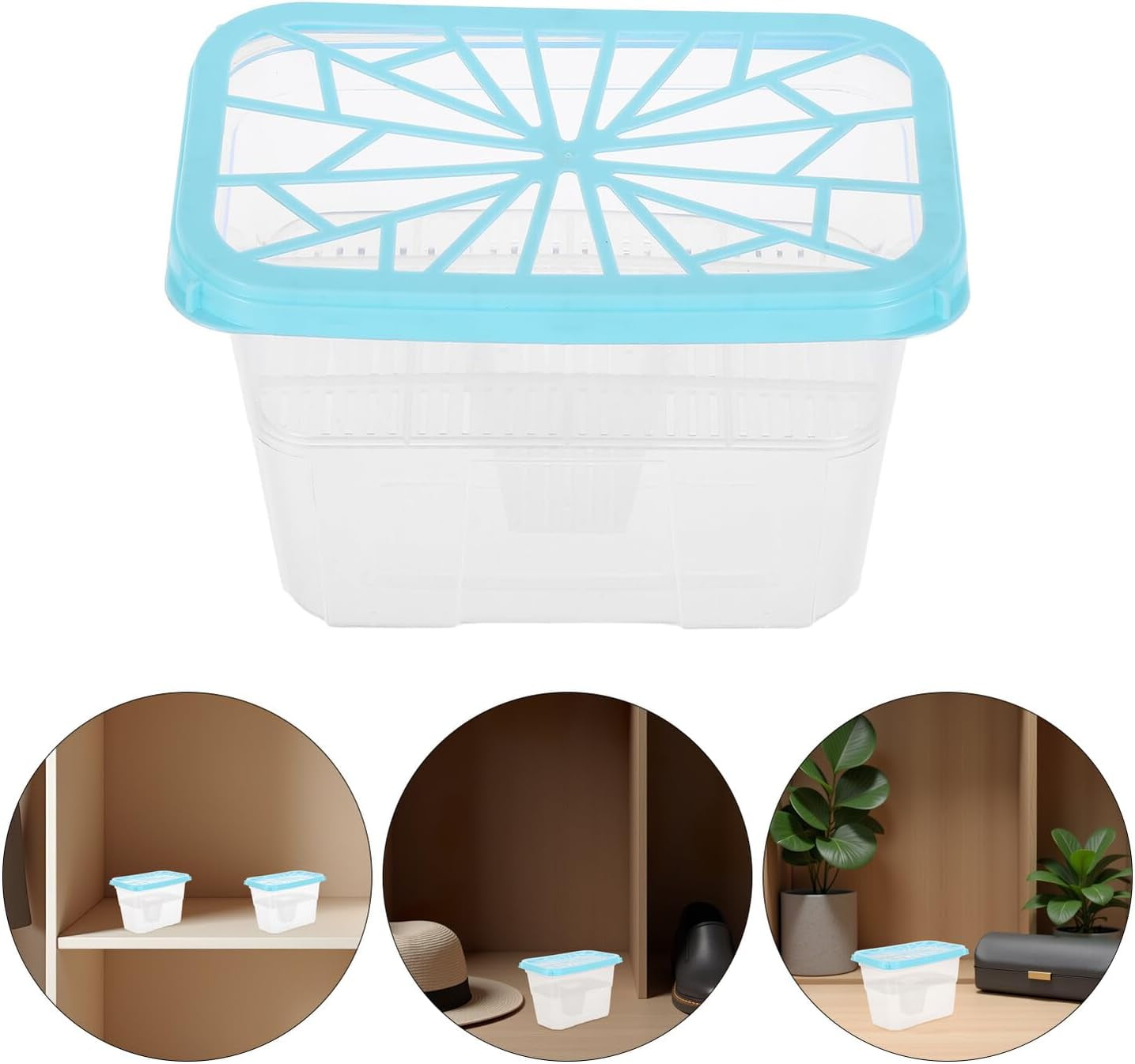 One empty moisture-absorbing box, a refillable plastic dehumidifier container, suitable for wardrobes.,blue