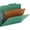 Green, variant on Classification Folders- 1 Divider- Letter- Green