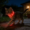 thumbnail image 5 of Eespoir Light Up Dog Collar, Led Dog Collar USB Rechargeable Flash Dog Necklace, Pet Safety Collar for Night Walk, Visibility, Small Medium Large Dogs(Red), 5 of 6
