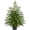 2Ft, variant on Yastouay 2FT Tabletop Christmas Tree Artificial Norfolk Pine Pre-Lit Xmas Tree with Lights for Front Porch Indoor Outdoor Christmas Decor