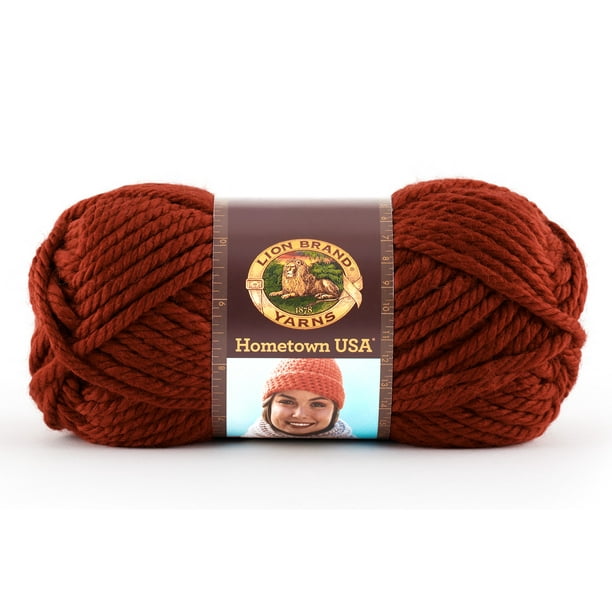 Lion Brand Yarns Hometown USA Acrylic Tampa Size Classic Bulky Yarn, 1 Each