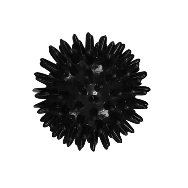 Bolas de Ejercicio Compacto Salvador Bola de masaje Negro