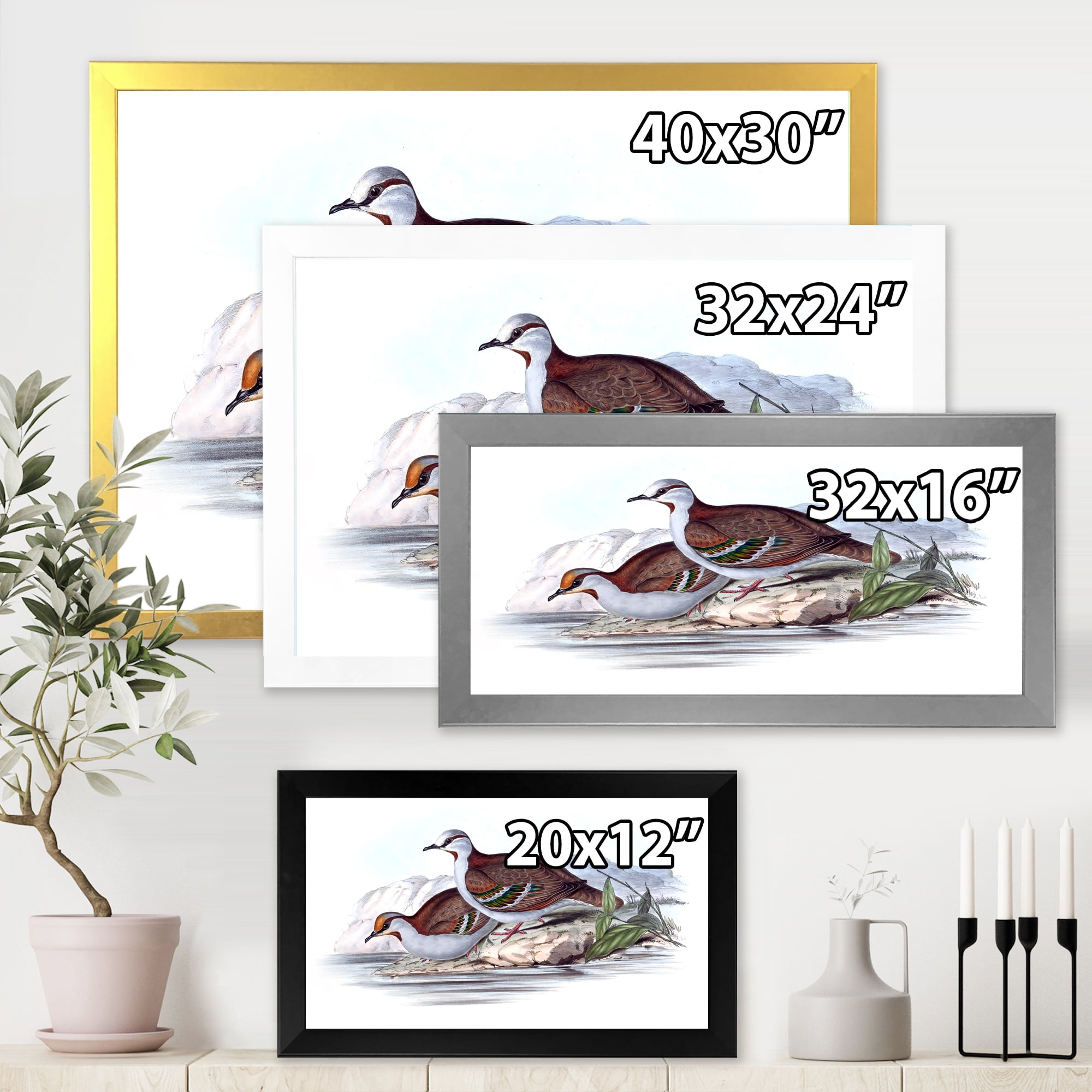 Designart 'Ancient Australian Birds IX' Traditional Framed Art Print