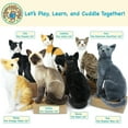 thumbnail image 6 of Boone the Black Cat | 13 Inch Stuffed Animal Plush | by TigerHart Toys, 6 of 6