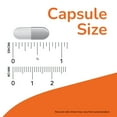 thumbnail image 4 of NOW Supplements, Holy Basil Extract 500 mg, 90 Veg Capsules, 4 of 7