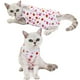 thumbnail image 3 of Ropa de algodón para destete de gatos y perros pequeños, mono de esterilización, traje de recuperación quirúrgica antilamidos, trajes para cachorros y gatitos., 3 of 6