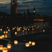 Toner Depot Chinese Wedding Floating Tealight Lantern Candle Holders, Set of 10