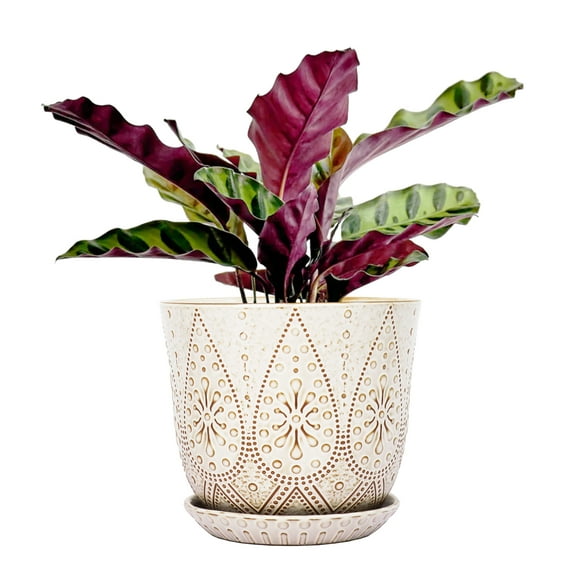 BESTSELER 8 Inch Plant Pot, Ceramic Planter with Drainage Holes and Saucers for Indoor Plants, Large Outdoor Flower Pot Garden Pot