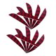 thumbnail image 1 of 12 Piezas Vanes 4 Pulgadas Plástico Fletching Soledad Tiro con arco Flecha Fletches Colores Para Elegir rojo, 1 of 7