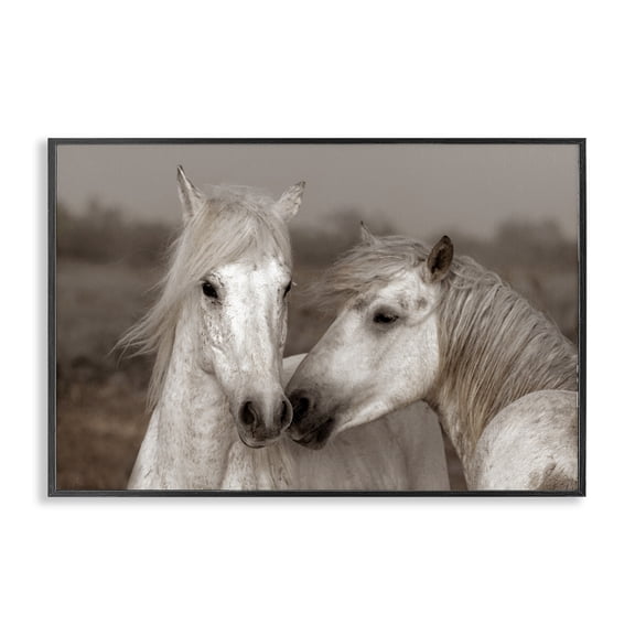 Stupell Industries Southwestern Gentle Companionship Horses Black Framed Giclee Art, 18 x 12, by Danita Delimont