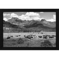 thumbnail image 2 of Jacob W. Frank 24x17 Black Modern Wood Framed Wall Art Titled - Bison grazing in Round Prairie, Yellowstone National Park, 2 of 6