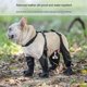 thumbnail image 3 of Dog Shoes Waterproof Adjustable Dog Boot Rain Day Pet Breathbale Shoes for Outdoor Walking Soft French Bulldog Paws-M, 3 of 5