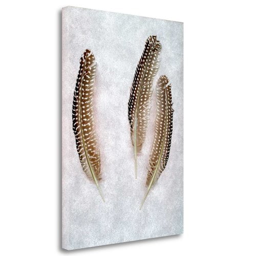 Tangletown Fine Art 'Feather - 2' Graphic Art Print on Wrapped Canvas