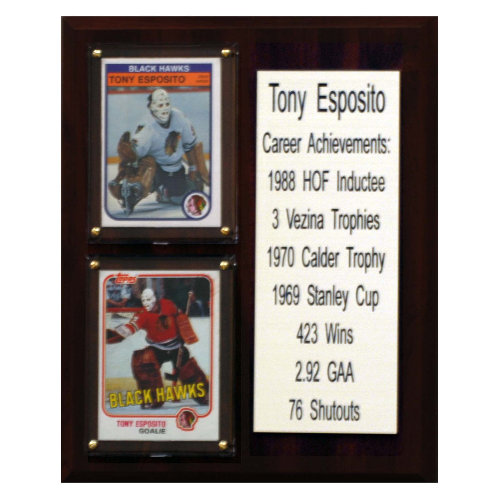 Tony Esposito Signed custom framed 8x10 Photo - Tony 0