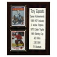 thumbnail image 6 of Stan Mikita Chicago Blackhawks 8'' x 10'' Team Card Plaque, 6 of 7