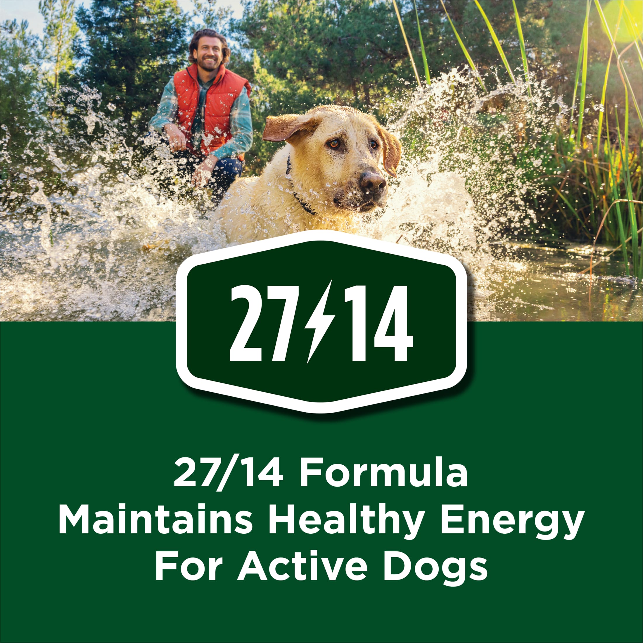 Purina Dog Chow High Protein Muscle Support Beef Dry Dog Food, 18 lb photo 4