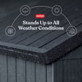 thumbnail image 4 of Keter Darwin 6 by 8 Foot Outdoor Garden Tool Storage Shed, Graphite Gray, 4 of 19