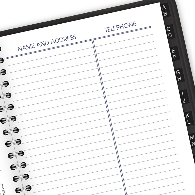 AT-A-GLANCE DayMinder 2024 Weekly Appointment Book Planner