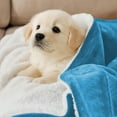 thumbnail image 4 of Moonlight20015 Sherpa Blanket Fluffy Plush Ultra-Soft Bed Blanket Reversible Twin Size Light Blue Color, 4 of 8