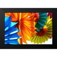thumbnail image 2 of Peck, Gail 24x17 Black Modern Framed Museum Art Print Titled - Paper Flowers, 2 of 5