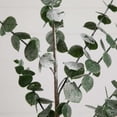 thumbnail image 5 of Nearly Natural Eucalyptus Leaf Artificial Stem Sprays - 40" - Green - Set of 3, 5 of 9