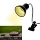 thumbnail image 1 of Soporte Ajustable Para Lámpara De Calor Con Abrazadera Para Reptiles, Lámpara Para Tomar El Sol Para Reptiles, Soporte Con Clip, Abrazadera Para Reptiles, Soporte Para, 1 of 7