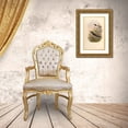 thumbnail image 3 of CAG 11x14 Gold Ornate Wood Framed with Double Matting Museum Art Print Titled - Sibia Melanoleuca, 3 of 4