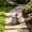 Purple-Free Size/PP, variant on Illuminated Garden Light Outdoor Solar Powered Turtle Figurine Pathway Patio Yard Lawn Decor Colorful LED Statue Ornament