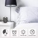 thumbnail image 5 of Despertador silencioso de doble campana con luz nocturna Alarma fuerte Despertador analógico oso de fresa  Electrónica, 5 of 5