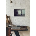 thumbnail image 3 of Cortesi Home 'The New Generations' by Mario Sanchez Nevado, Canvas Wall Art, 18"x12", 3 of 3