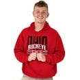 thumbnail image 5 of Ohio Hometown Pride OH Local Buckeye Hoodie Sweatshirt Women Men Brisco Brands M, 5 of 6